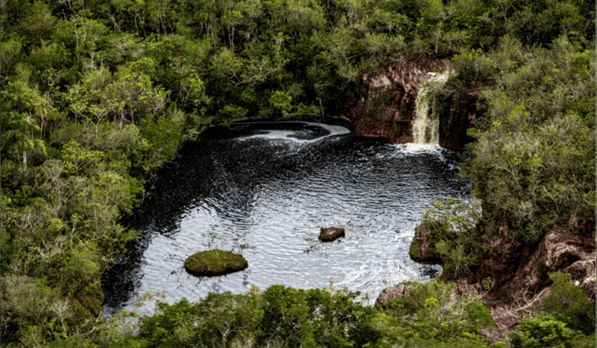 Diez claves para cuidar nuestro planeta en el Día Internacional del Medioambiente