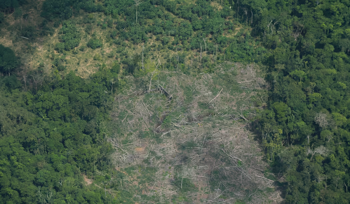 La plata para hacer frente a la crisis climática se reduce, ¿cómo le va a Colombia?