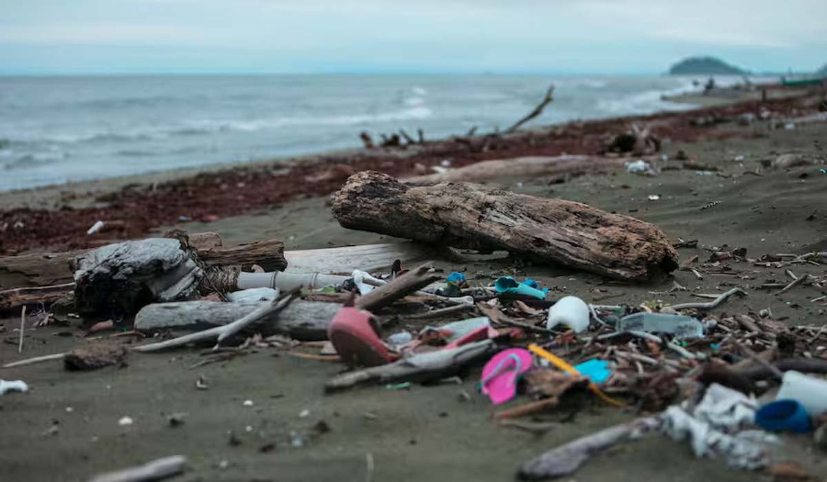 En Colombia, 31.000 toneladas de plástico contaminan los ecosistemas acuáticos cada año