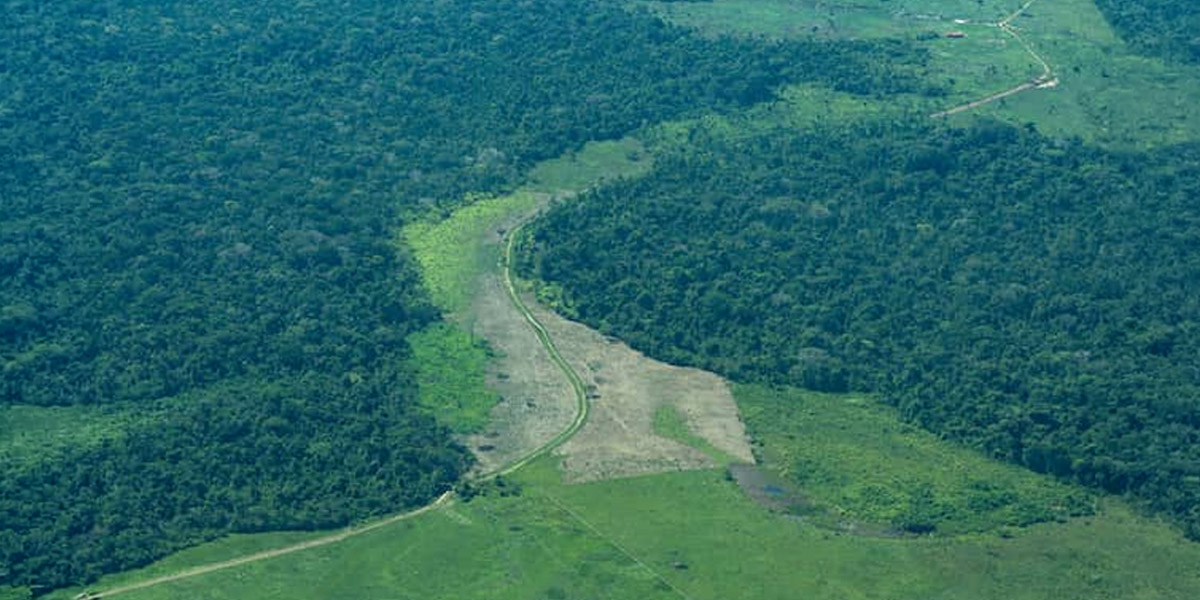 Aquí tiene una buena razón para volcarse a proteger la Amazonia colombiana
