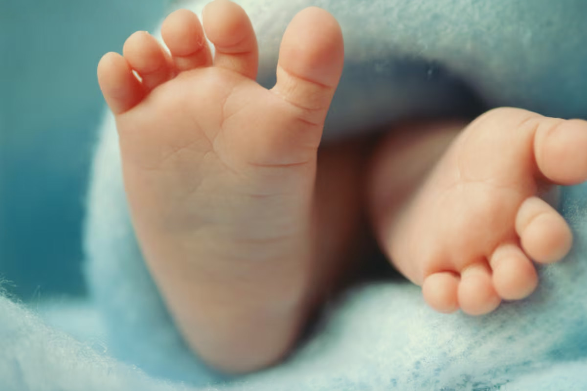 La matrícula que se viene